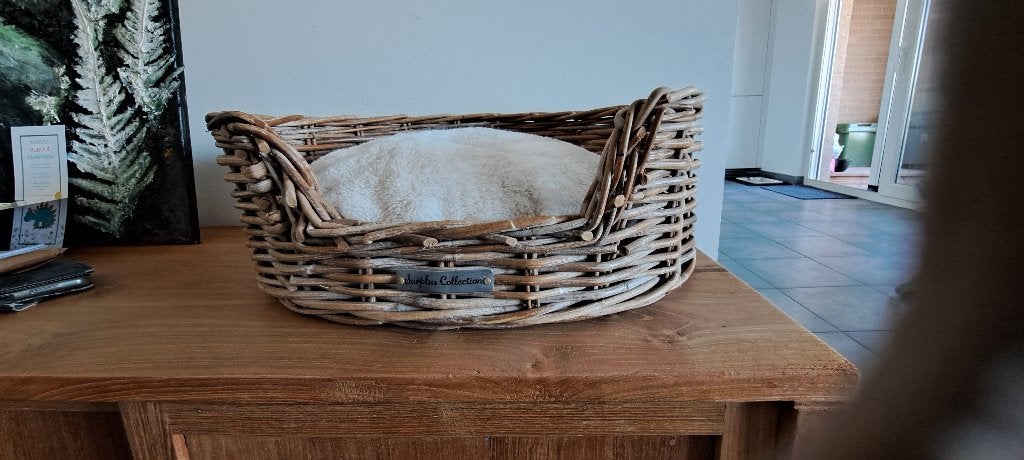 kattenmand, Ophalen, Gebruikt, Riet