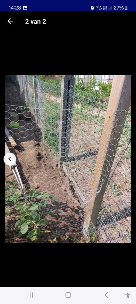 Kippengaas, Dieren en Toebehoren, Ophalen