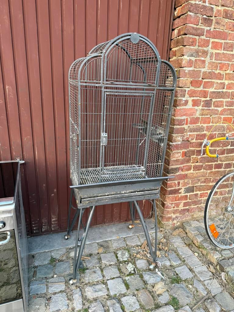 Vogelkooi papegaaien kooi, Enlèvement, Utilisé, Cage à oiseaux