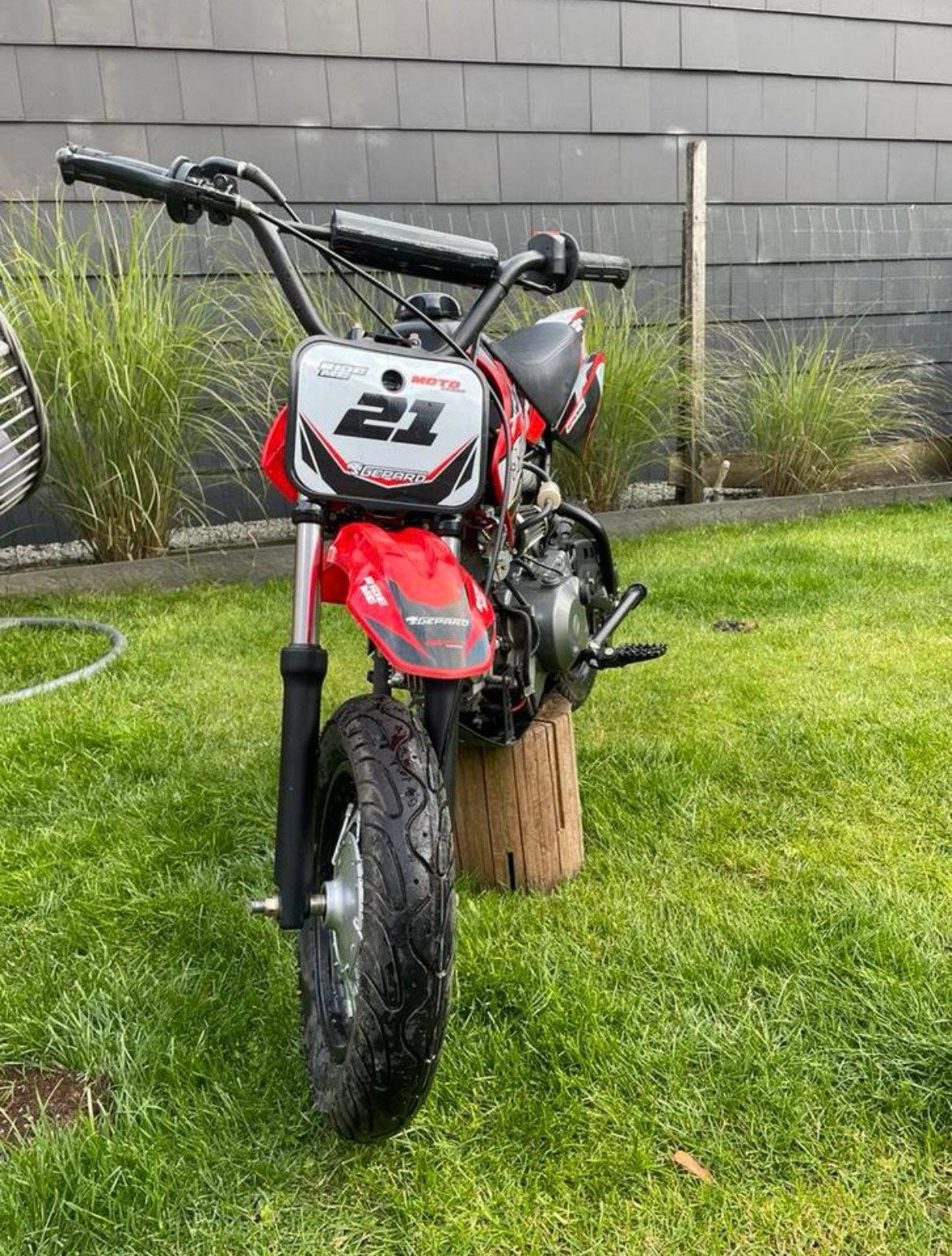 Pitbike 70cc, 70 cc, Nieuw, 1 versnellingen, Ophalen