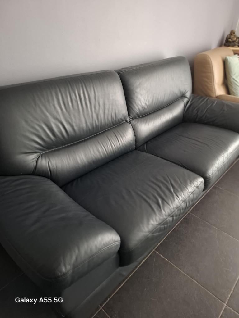 tweezit, Huis en Inrichting, Ophalen, 150 tot 200 cm, Tweepersoons, Leer