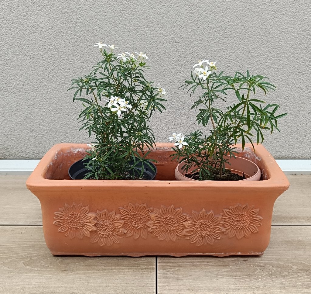 Handgemaakte terracotta bloembakken, Abruzzo Vasi, IT, Ophalen, Zo goed als nieuw, Steen, Minder dan 30 cm