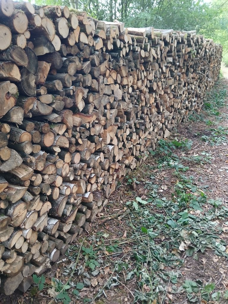 Bois de chauffage sec, 3 à 6 m³, Enlèvement, Chêne, Bûches