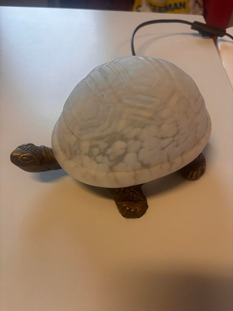Schildpadlamp, Ophalen of Verzenden
