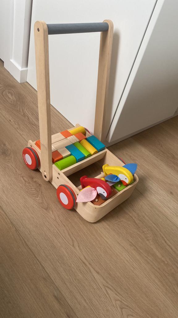 Loopwagen PlanToys, Kinderen en Baby's, Speelgoed | Houten speelgoed, Ophalen, Zo goed als nieuw