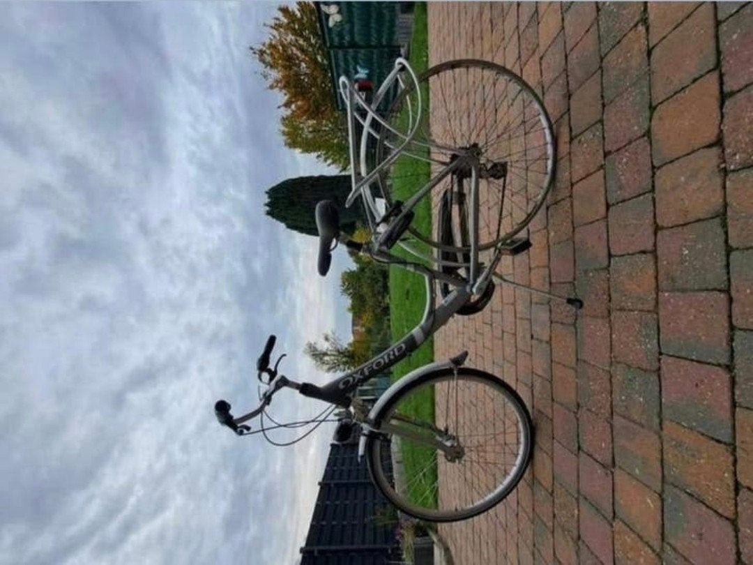DAMESFIETS 24 INCH "OXFORD", Ophalen
