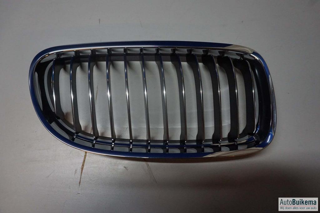Bumper grille (Nier) origineel Bmw 3 Serie E90, Gebruikt, -, -, Ophalen of Verzenden