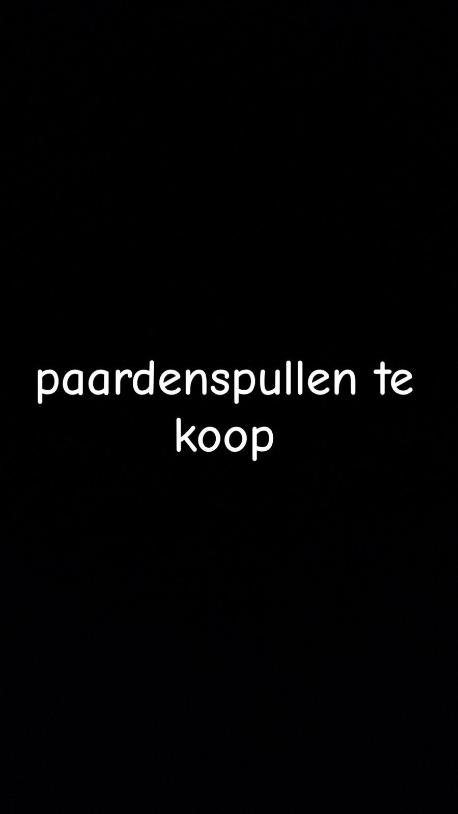 paardenspullen te koop, Dieren en Toebehoren, Ophalen, Zo goed als nieuw, BR