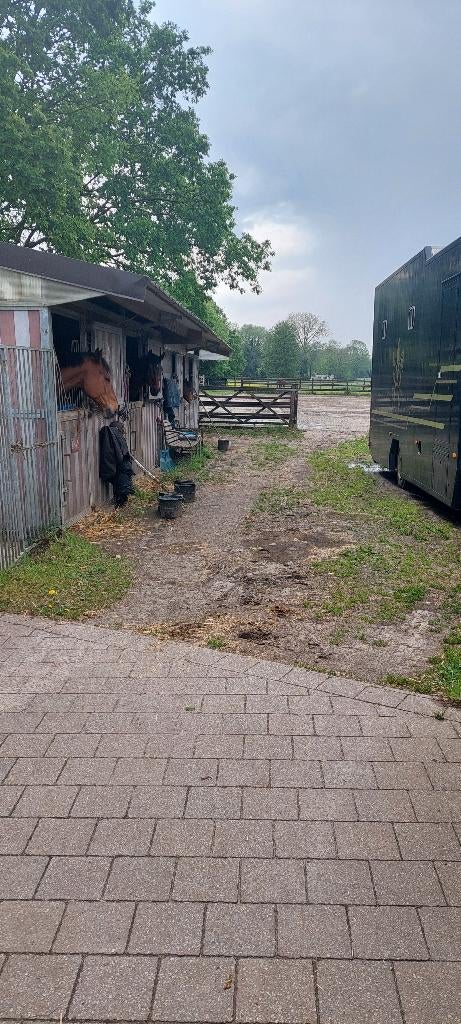 Stal vrij te Ranst, Dieren en Toebehoren, Stalling, 1 paard of pony