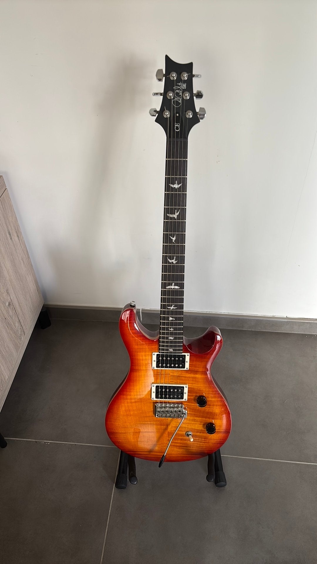 Guitare PRS 24 SE CE, Enlèvement