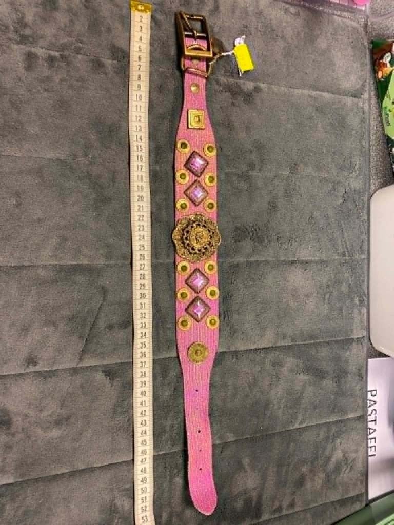 Luxe halsband aan outletprijsje !, Dieren en Toebehoren, Hondenhalsbanden en Penningen, Ophalen of Verzenden, Nieuw