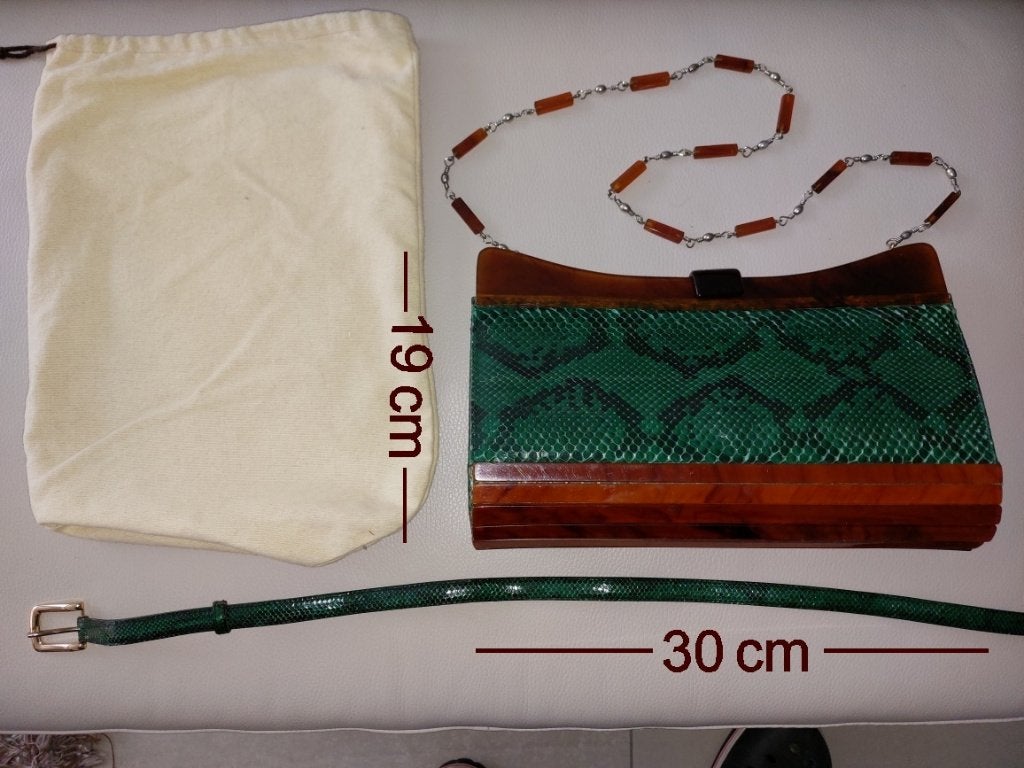 Pochette pour femme en véritable serpent, Bijoux, Sacs & Beauté, Enlèvement, Comme neuf, Vert, Sac de soirée