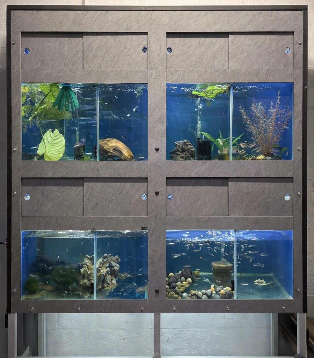 Aquariumstelling, Ophalen, Gebruikt, Leeg aquarium