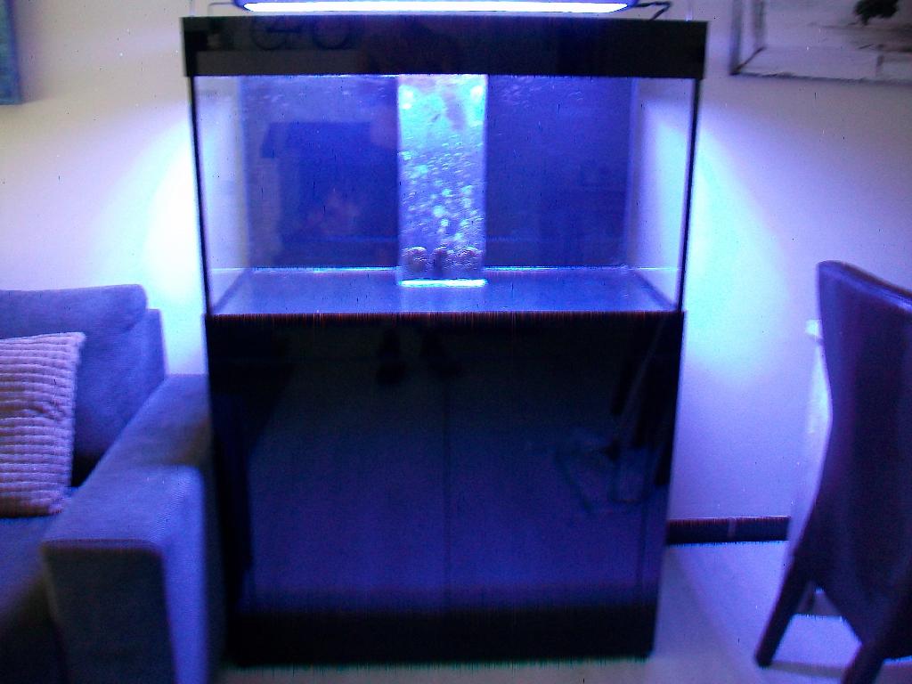 Zeeaquarium 100x50x60, Enlèvement, Utilisé, Aquarium vide, Autres marques