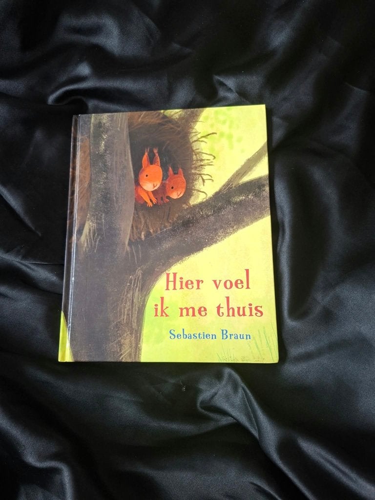 Hoe Voel Ik me thuis, Boeken, Fictie algemeen, Ophalen of Verzenden, Zo goed als nieuw, Sebastian Braun