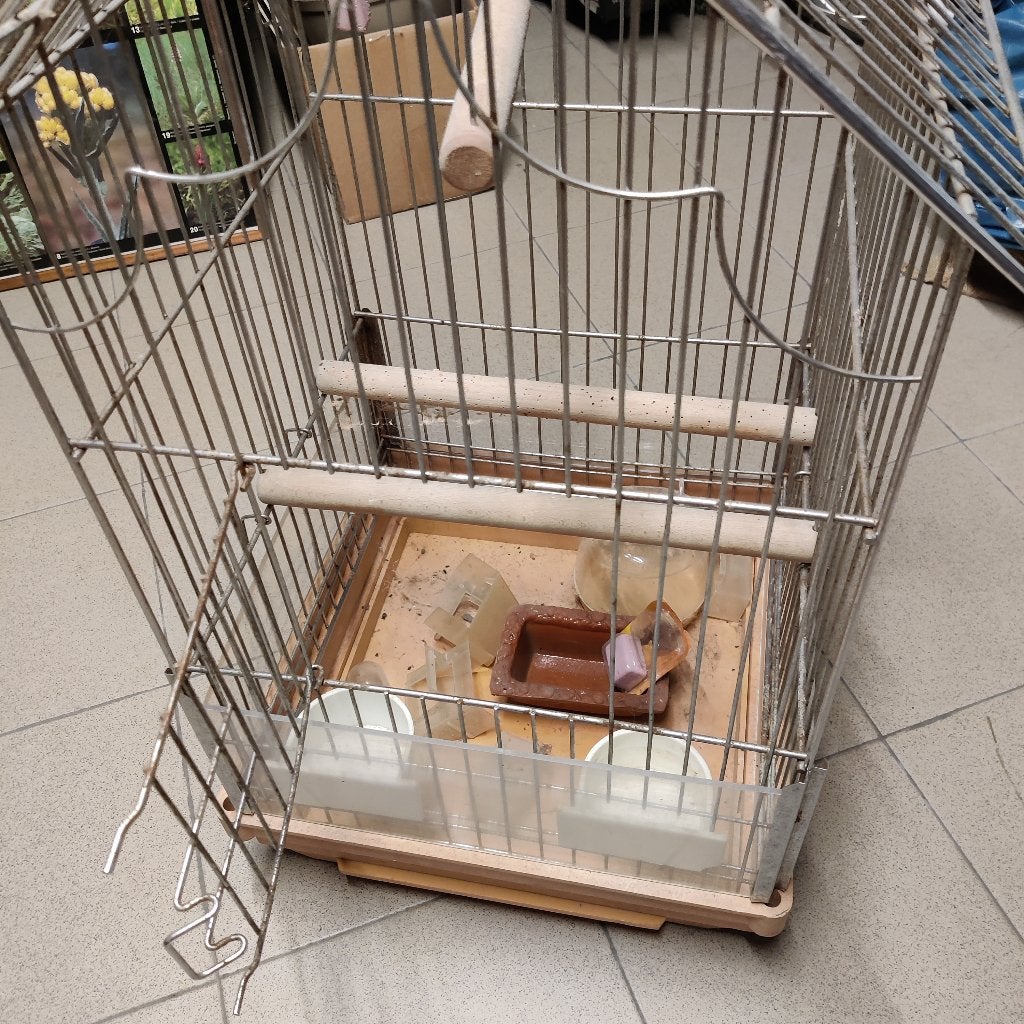 Oude vogelkooi, Dieren en Toebehoren, Ophalen, Gebruikt, Metaal, Vogelkooi