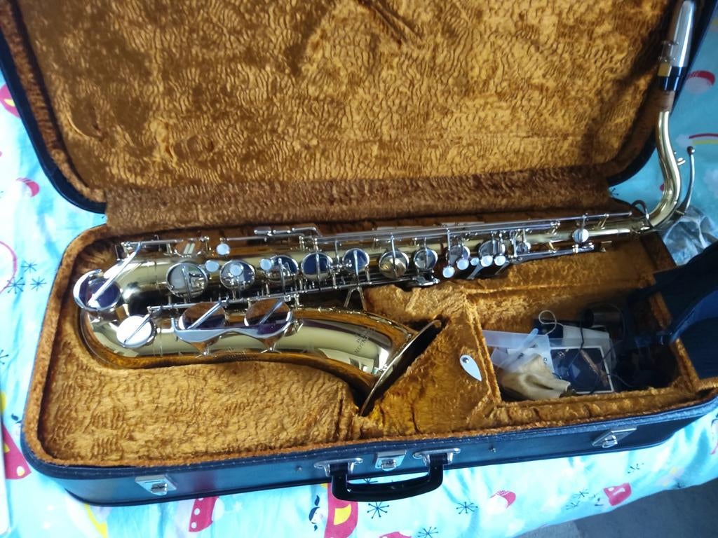 Tenor saxofoon, Musique & Instruments, Instruments à vent | Saxophones, Enlèvement