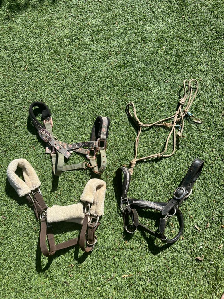 Halsters, Dieren en Toebehoren, Paarden en Pony's | Hoofdstellen en Tuigage, Ophalen of Verzenden, Gebruikt
