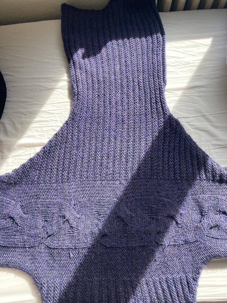 oversized, casual, coltrui, Maat 38/40 (M), Blauw, Ophalen of Verzenden, Zo goed als nieuw