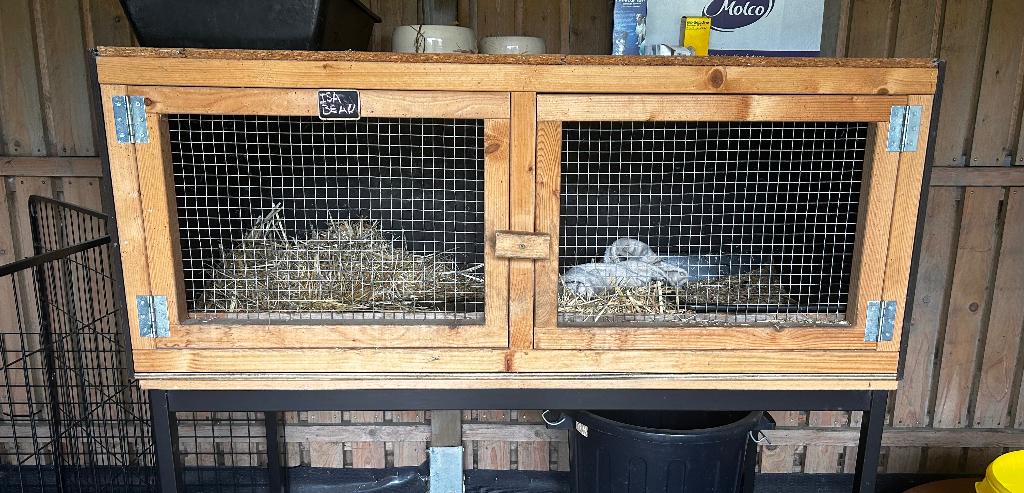 Konijnen hok, Ophalen, 110 cm of meer, 60 tot 90 cm, Zo goed als nieuw