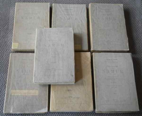 Cartulaire de la commune de Namur (7 volumes), Ophalen, Gelezen