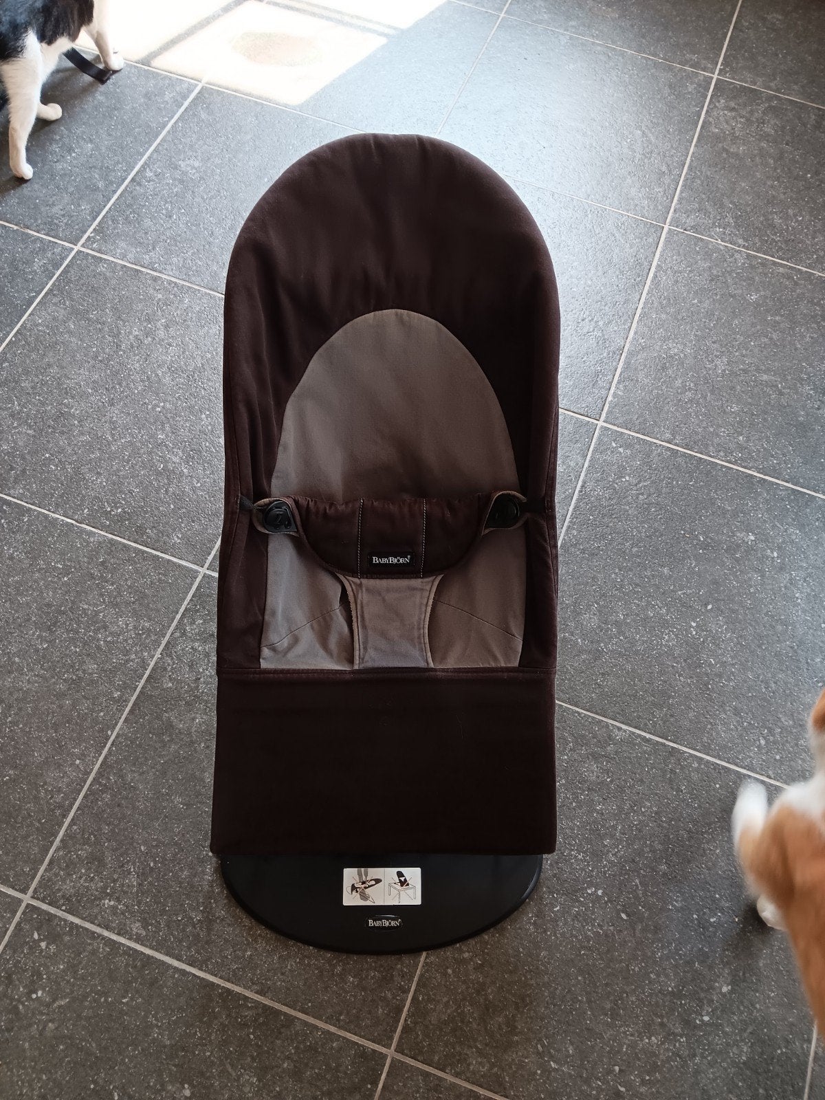 Babybjornwipper, Enlèvement ou Envoi