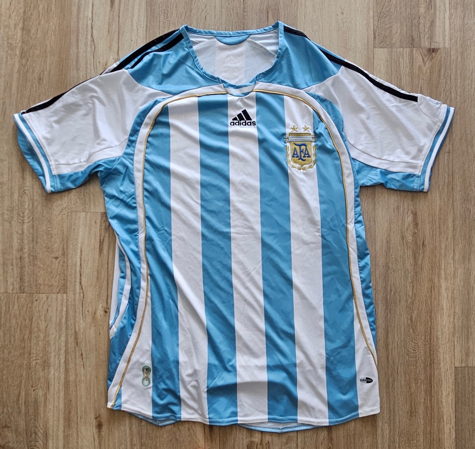 Argentinie voetbalshirt WK 2006, Verzamelen, Ophalen of Verzenden, Zo goed als nieuw, Shirt
