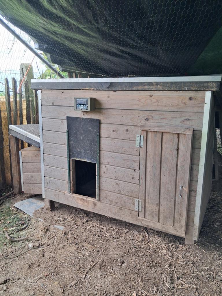 Kippenhok met automatische poort, Dieren en Toebehoren, Pluimvee | Toebehoren, Ophalen