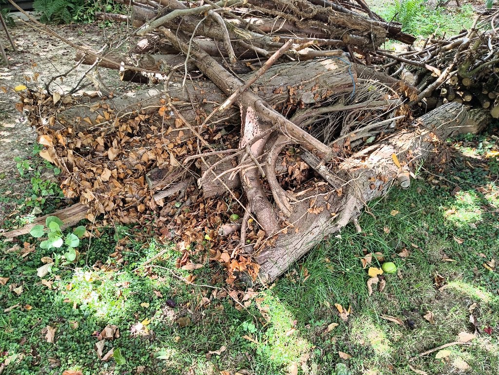 bois, Tuin en Terras, Brandhout, Ophalen