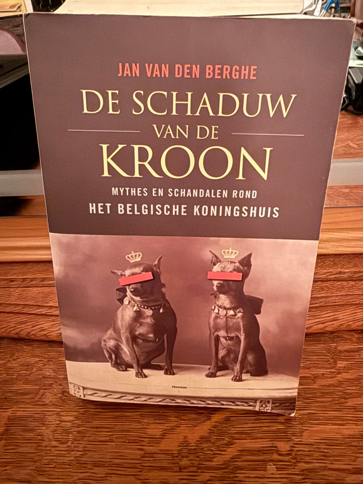 J. van den Berghe - de schaduw van de kroon, Ophalen of Verzenden, J. van den Berghe