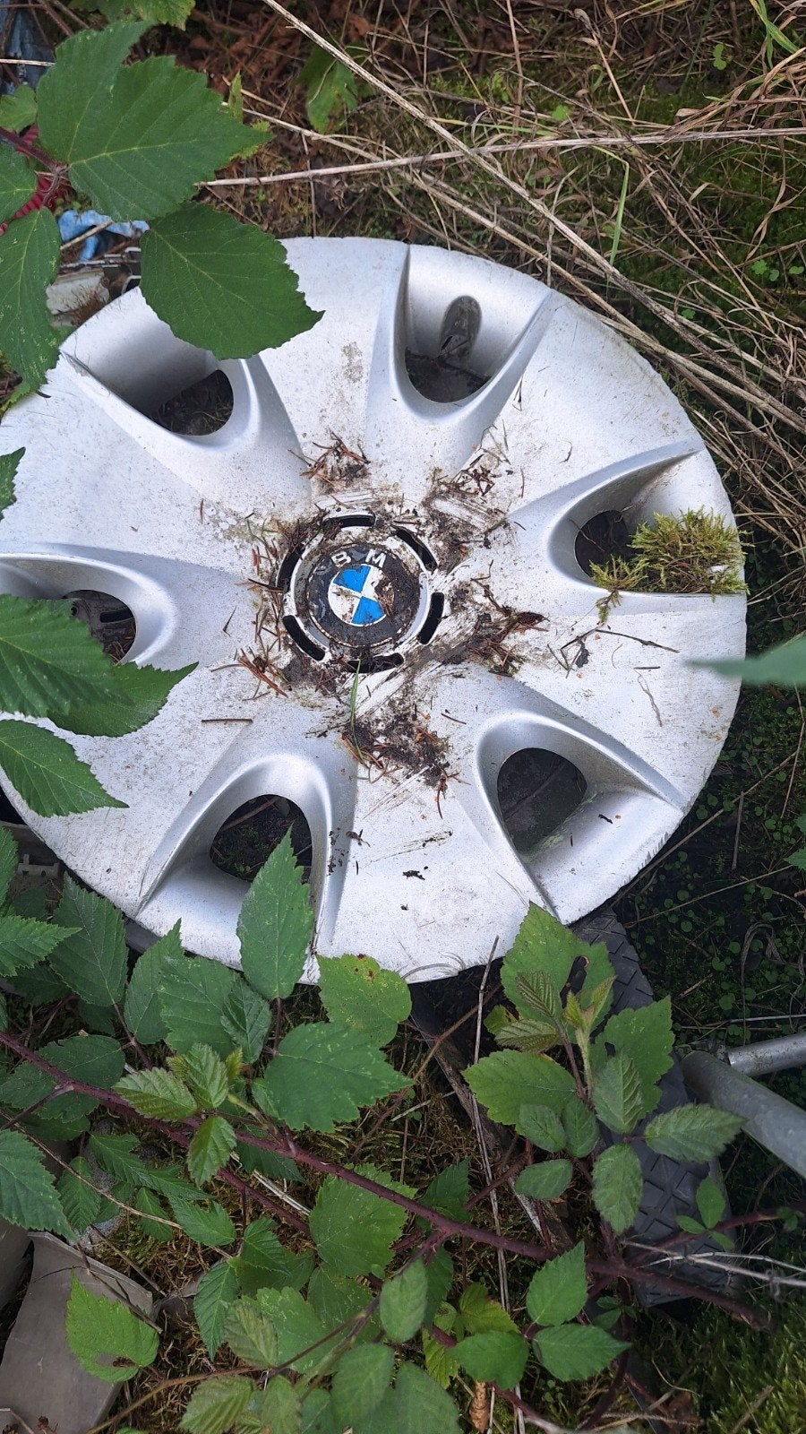 enjoliveur bmw, Enlèvement