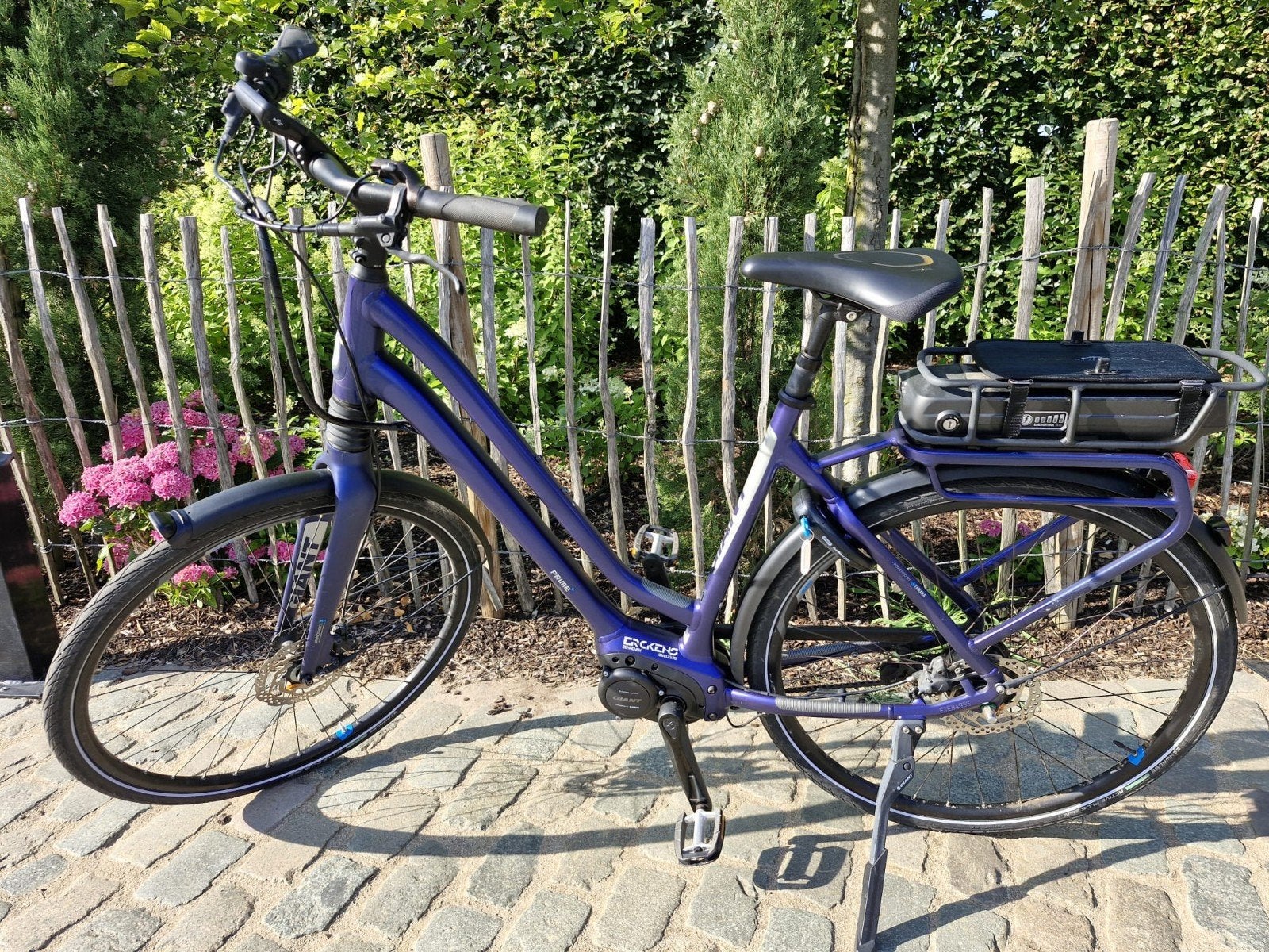 Giant electrische fiets, Ophalen of Verzenden, Giant