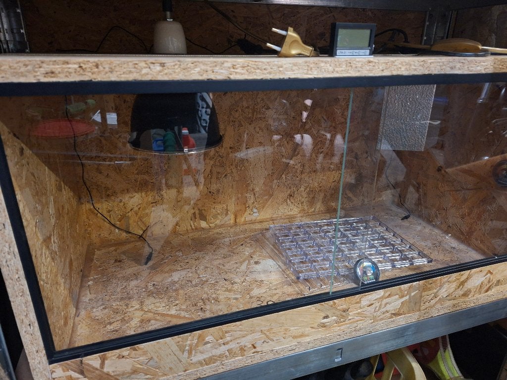 Terrarium, Enlèvement, Comme neuf, Terrarium ou Paludarium