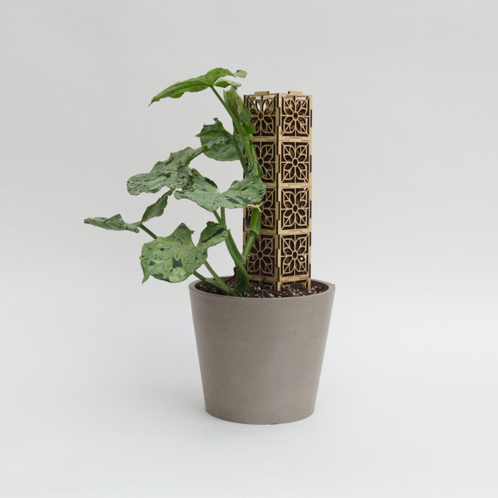 mosspole DIY (zonder plant), Huis en Inrichting, Kamerplanten, Ophalen, Halfschaduw, Minder dan 100 cm, Groene kamerplant