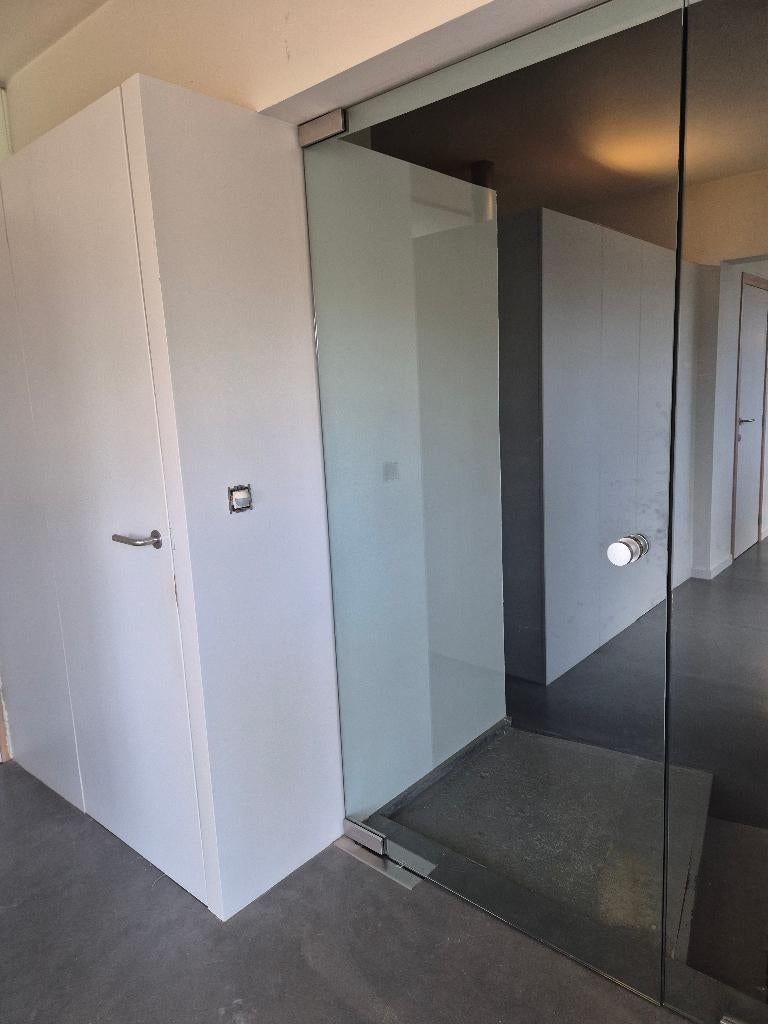 Glazen pivot deur, Doe-het-zelf en Bouw, Ophalen, 80 tot 120 cm, 160 cm of meer, Zo goed als nieuw