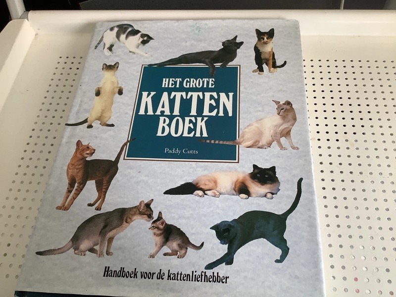 kattenboek, Boeken, Dieren en Huisdieren, Ophalen of Verzenden, Zo goed als nieuw