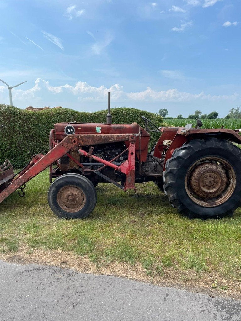 Massey Ferguson 165, Ophalen, Oldtimer, Tot 80 Pk, 7500 tot 10000