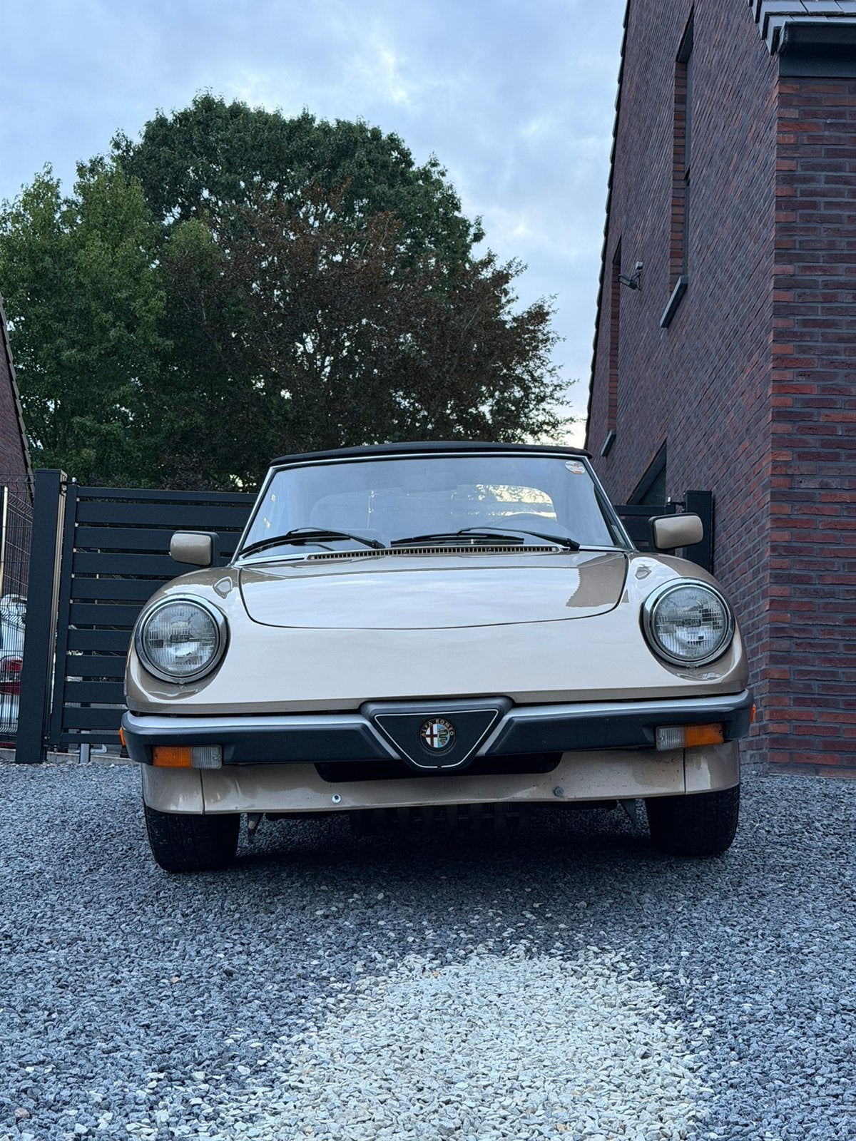 Alfa Romeo Spider 2.0 benzine, 1986 bouwjaar, 34.000 km, Autos, Entreprise, Boîte manuelle, Autres couleurs, https://public.car-pass.be/vhr/77b8aa64-3c62-47f7-8145-3363a3800684