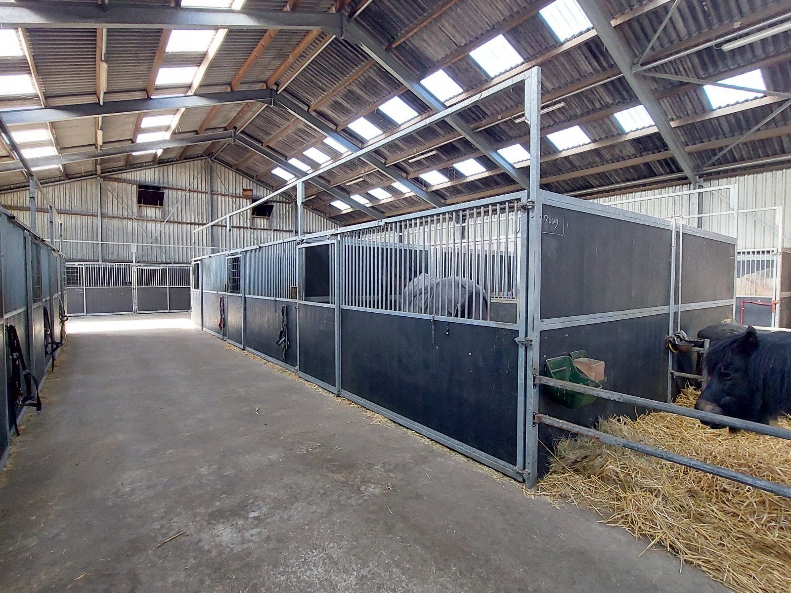 6 stal boxen paarden stal, Dieren en Toebehoren, Stalling en Weidegang