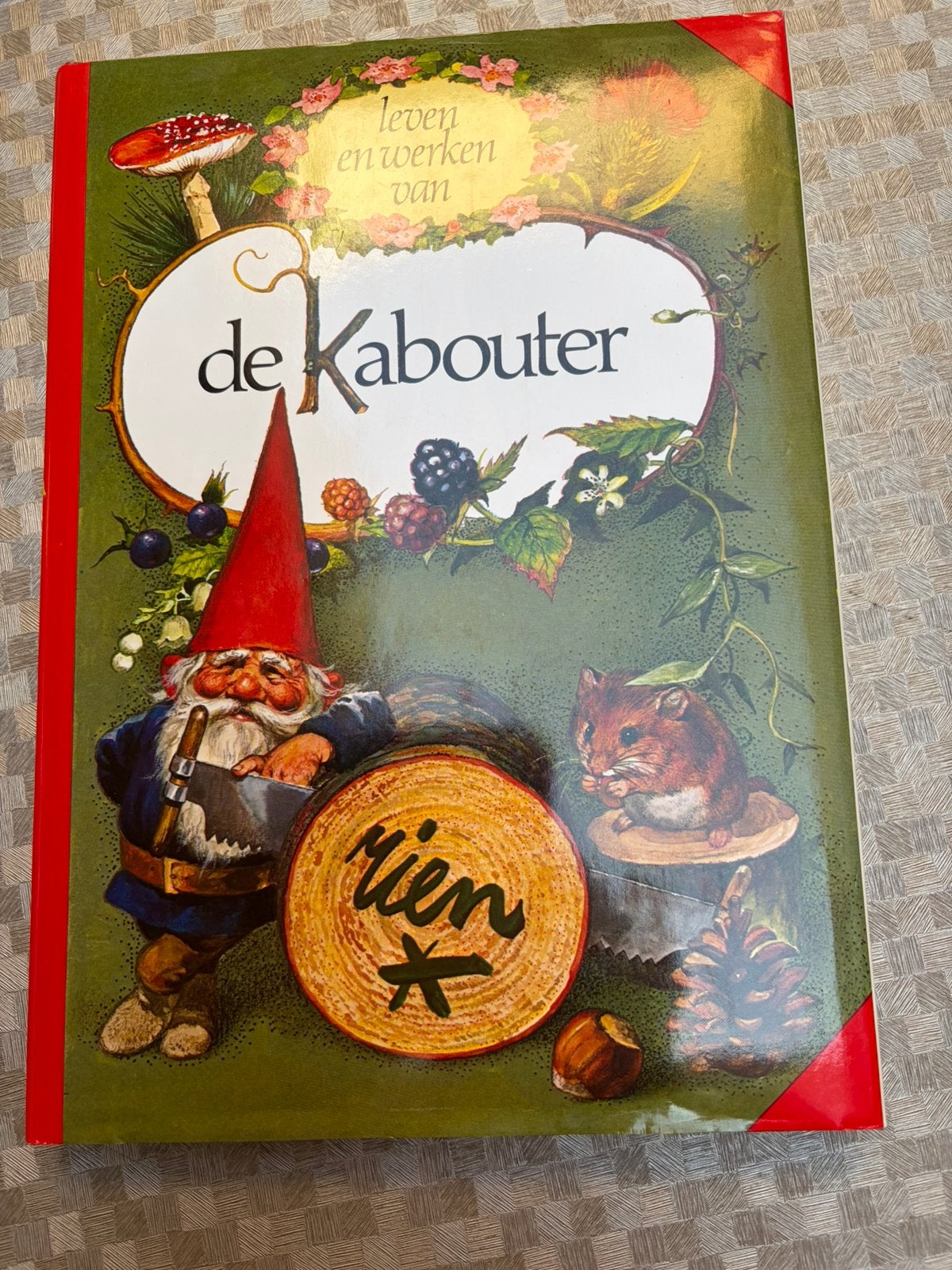 Prachtig boek De Kabouter, Boeken, Fantasy, Ophalen of Verzenden, Zo goed als nieuw