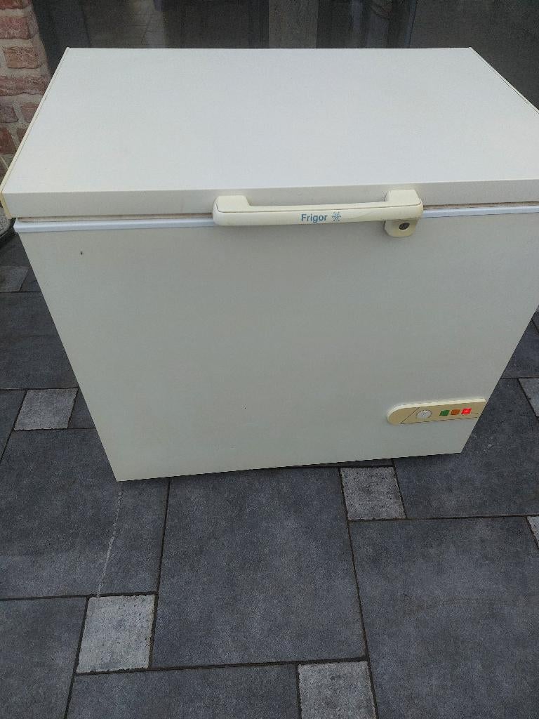 diepvrieskist, Electroménager, Congélateur, 85 à 120 cm, Enlèvement, Utilisé