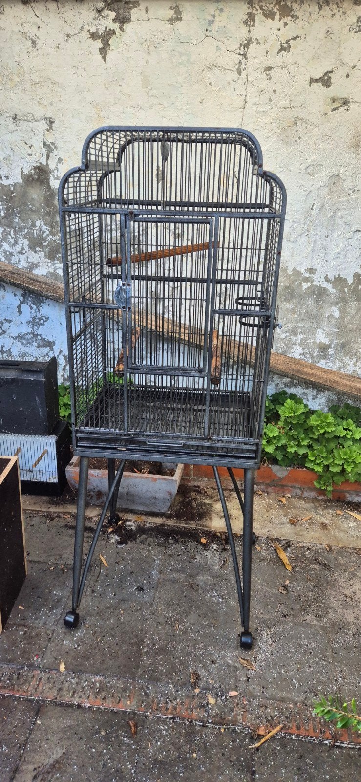 cage à oiseaux, Enlèvement, Utilisé, Métal, Cage à oiseaux