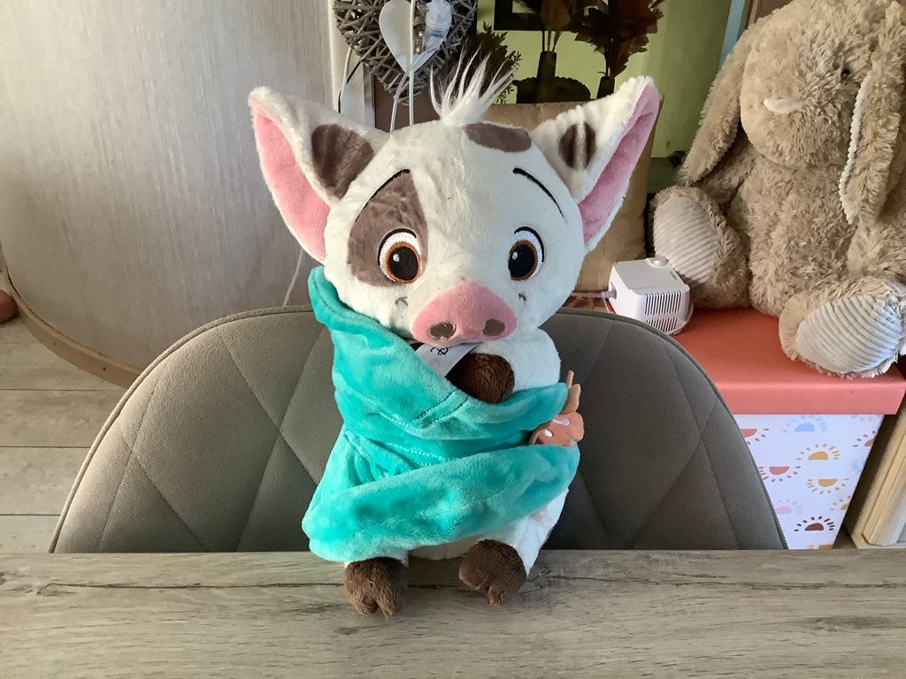 Personnage en peluche Pua pour bébés Disney Vaiana (32 cm), Disney, Lavable, Comme neuf, Moyen (20 à 80 cm)