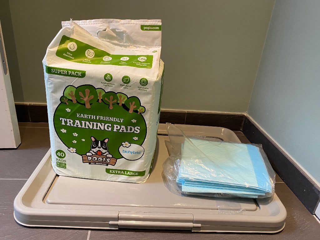 Trainingpads puppy incl. houder, Enlèvement, Neuf, Autres types
