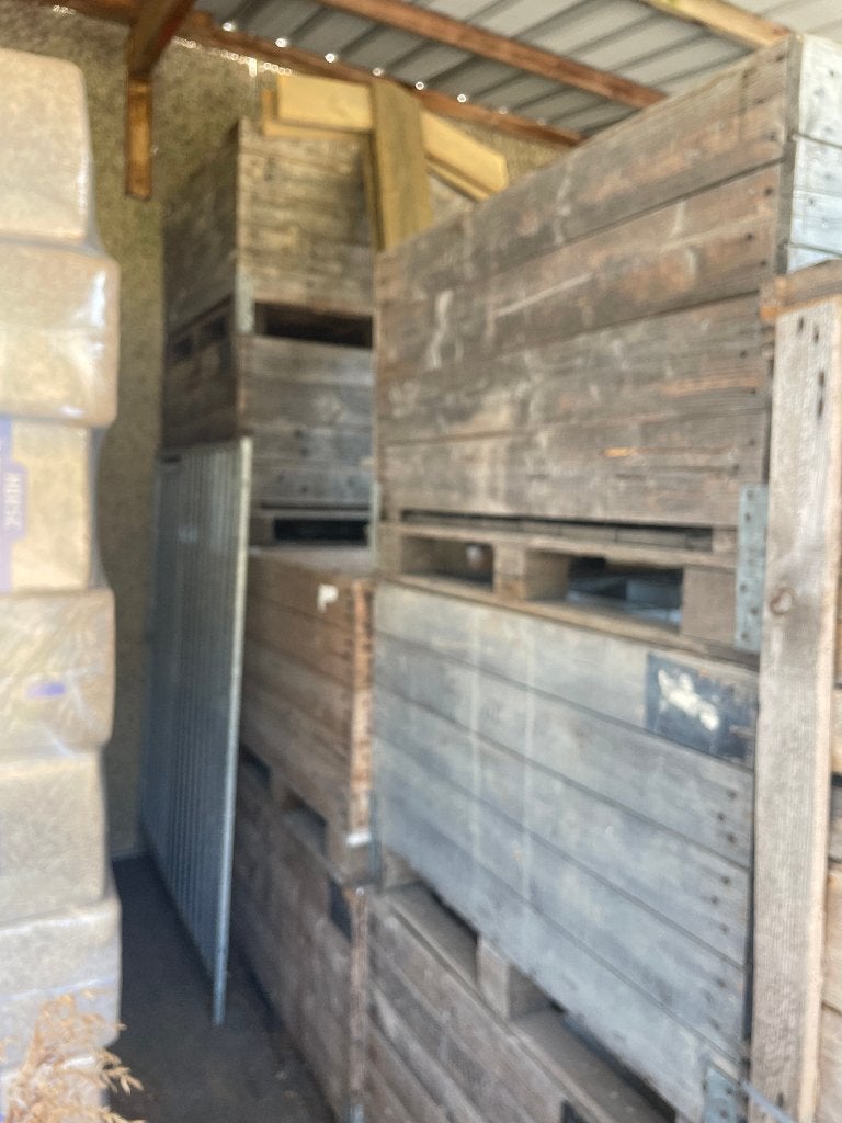 Paloxen hout, Enlèvement