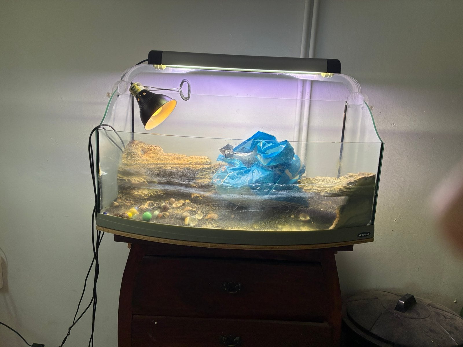 Terrarium voor waterschildpadden, Dieren en Toebehoren, Schildpad, Met terrarium