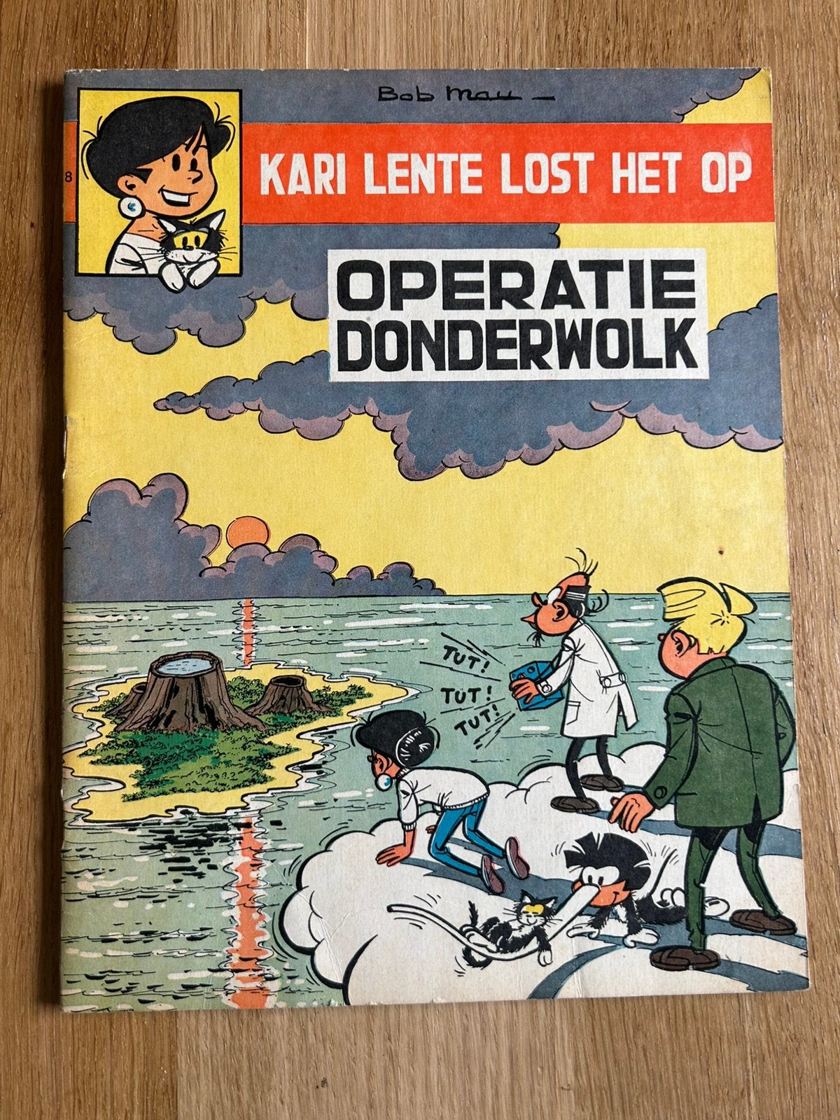 Kari lente, Ophalen of Verzenden, Zo goed als nieuw