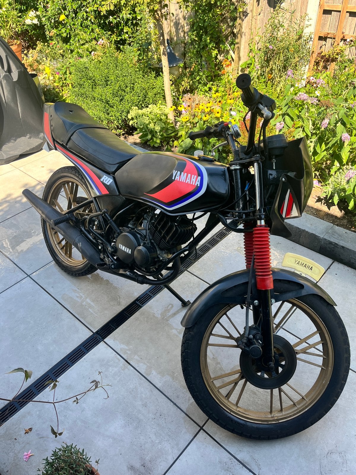 Yamaha RD50 MX, 5 vitesses, Yamaha, Classe B (45 km/h), Enlèvement