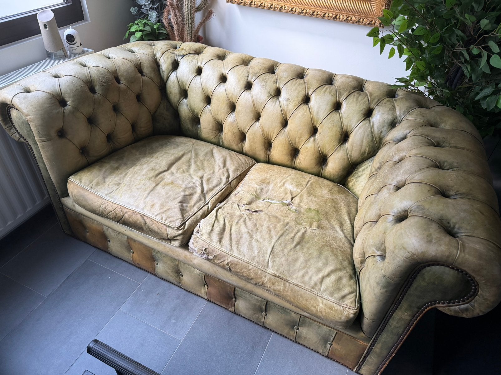 Chesterfield gratis op te halen, Enlèvement, Utilisé