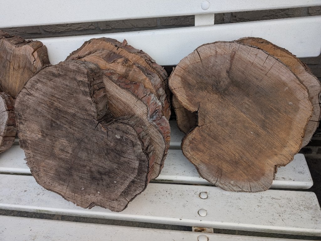 houten schijven - decoratie element, Ophalen, Nieuw
